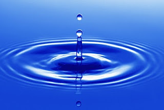 What You Need to Know About Your Water