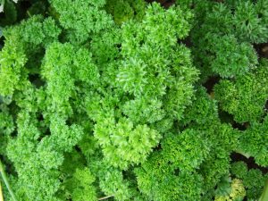 Parsley can help to reduce blood pressure.