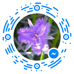 messenger_code_1687660634852014 (1)