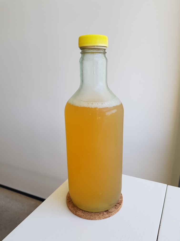 Making My Own Water Kefir Drinks Healthy Living SG